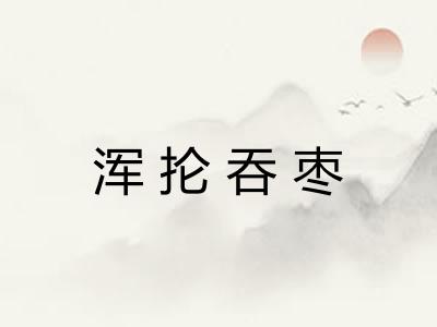 浑抡吞枣