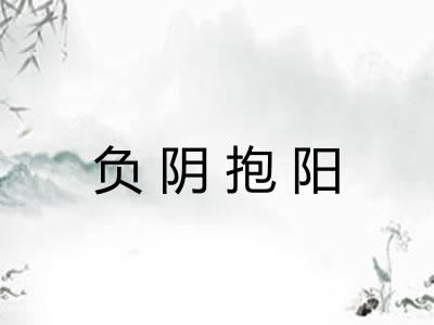 负阴抱阳