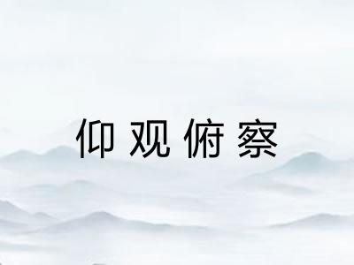 仰观俯察