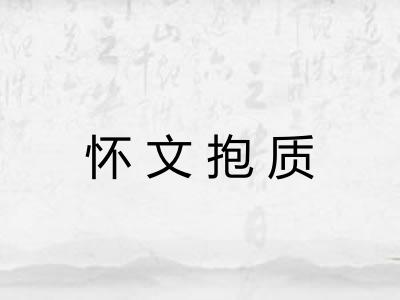怀文抱质
