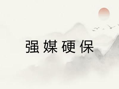 强媒硬保