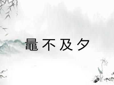 鼂不及夕