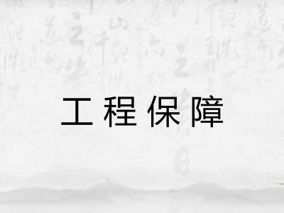 工程保障