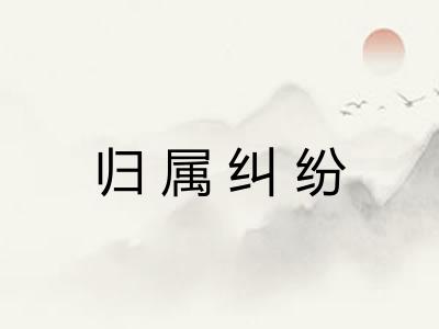 归属纠纷