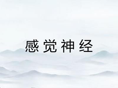 感觉神经