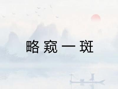 略窥一斑