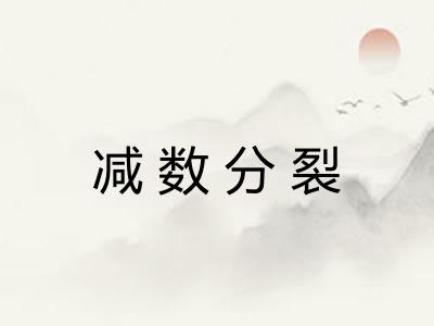减数分裂