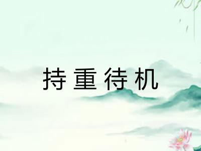 持重待机