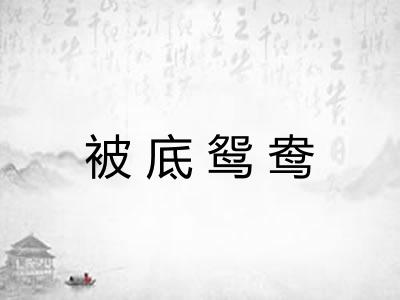 被底鸳鸯