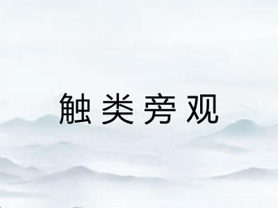 触类旁观