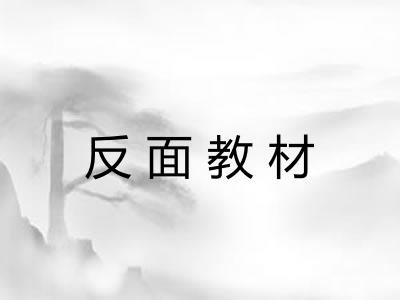 反面教材