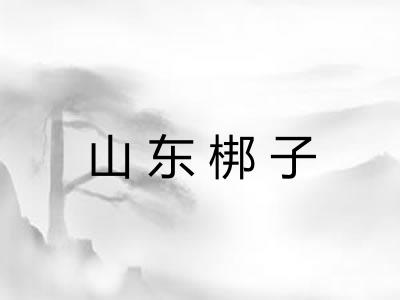 山东梆子