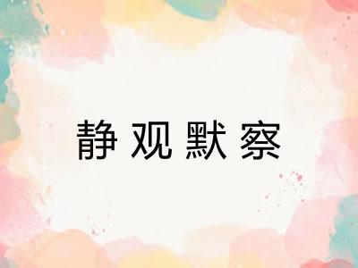 静观默察