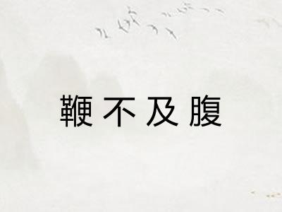 鞭不及腹