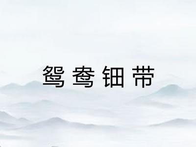 鸳鸯钿带