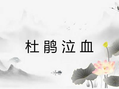 杜鹃泣血