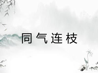 同气连枝