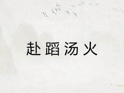 赴蹈汤火