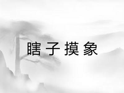 瞎子摸象