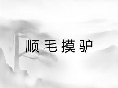 顺毛摸驴