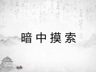 暗中摸索