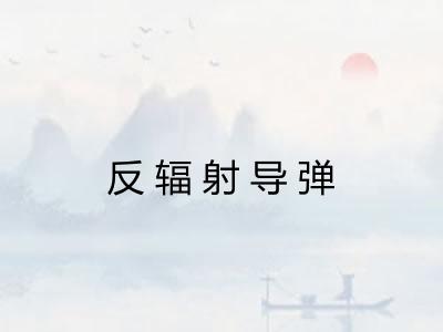 反辐射导弹